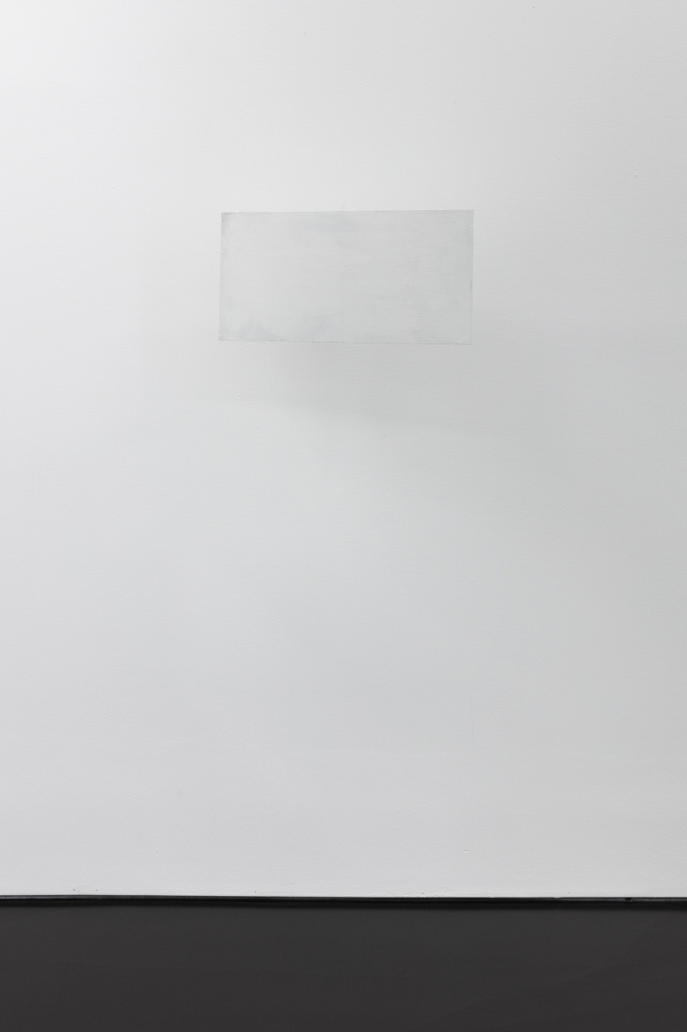 Fernanda Gomes Untitled