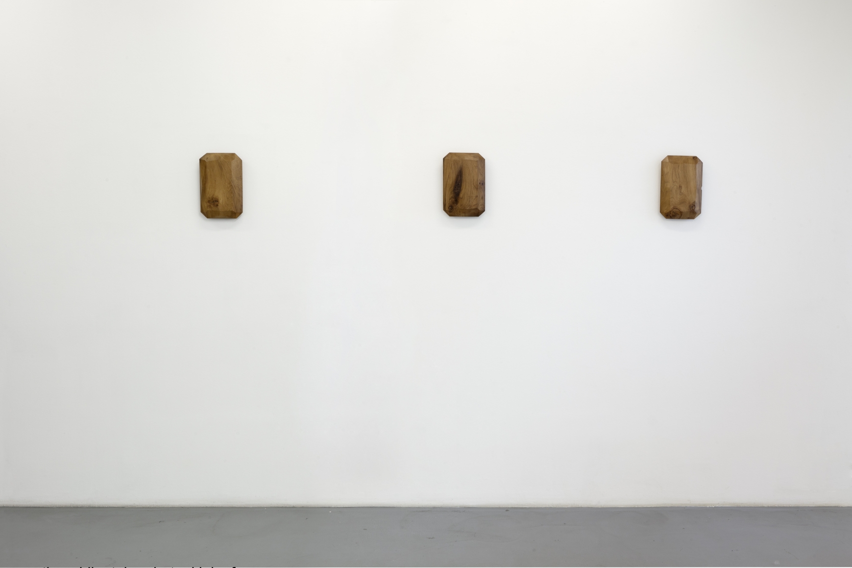 Lucy Skaer: Blanks and Ballast – installation view 5