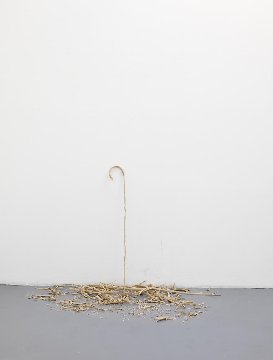 Ania Soliman - David Adamo, Galerie Nelson-Freeman, Paris. 