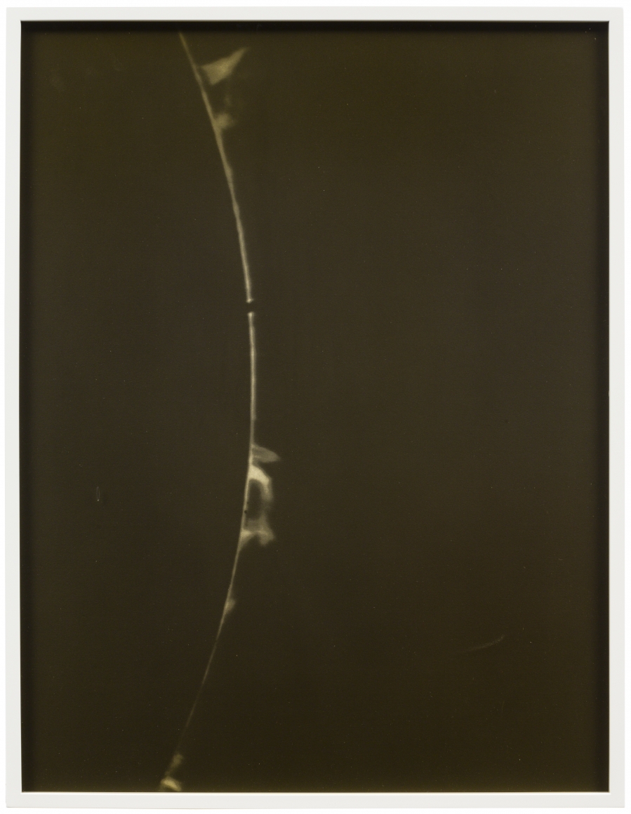 Emission line_6 2018