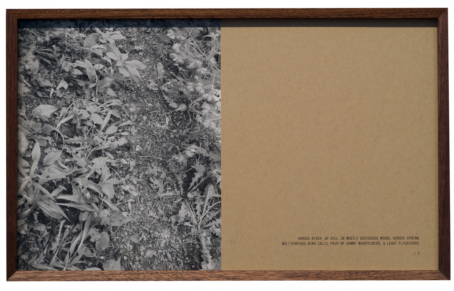 Helen Mirra , Walking commas, 28 June, Cape Breton