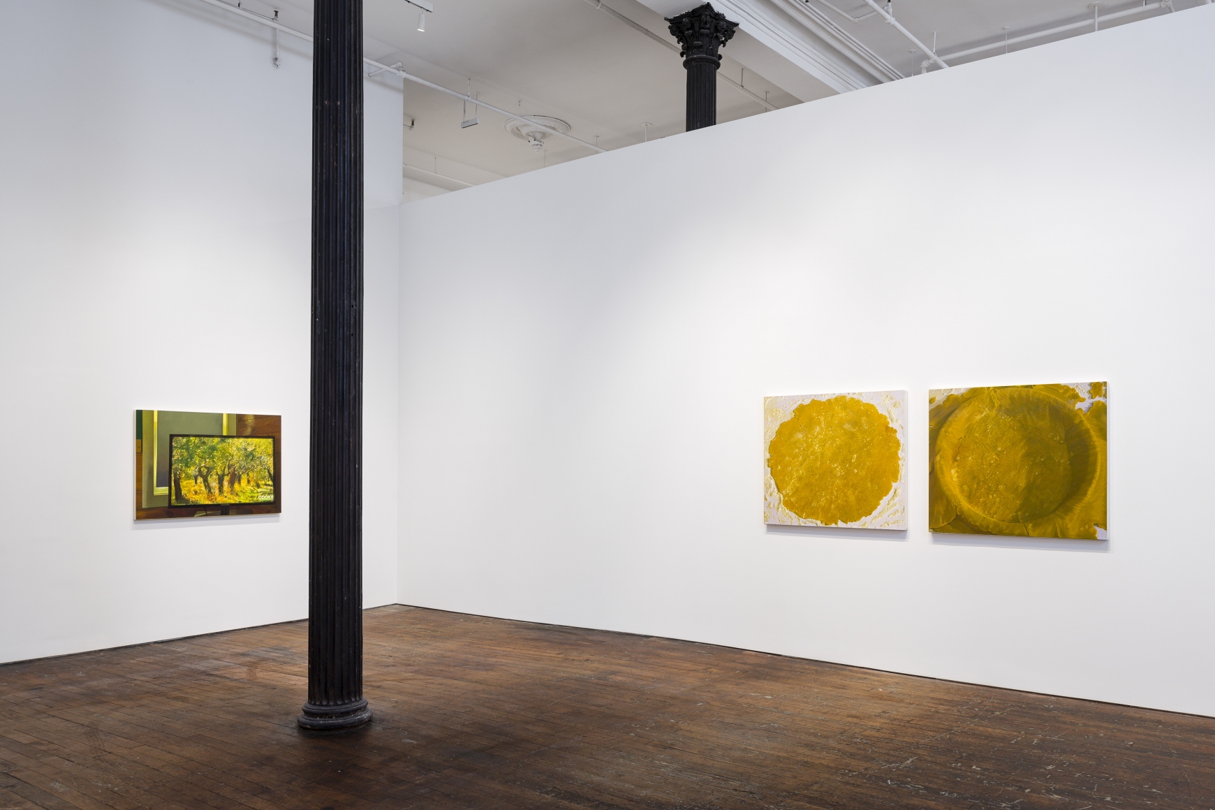 Catherine Murphy: Recent Work – installation view 2