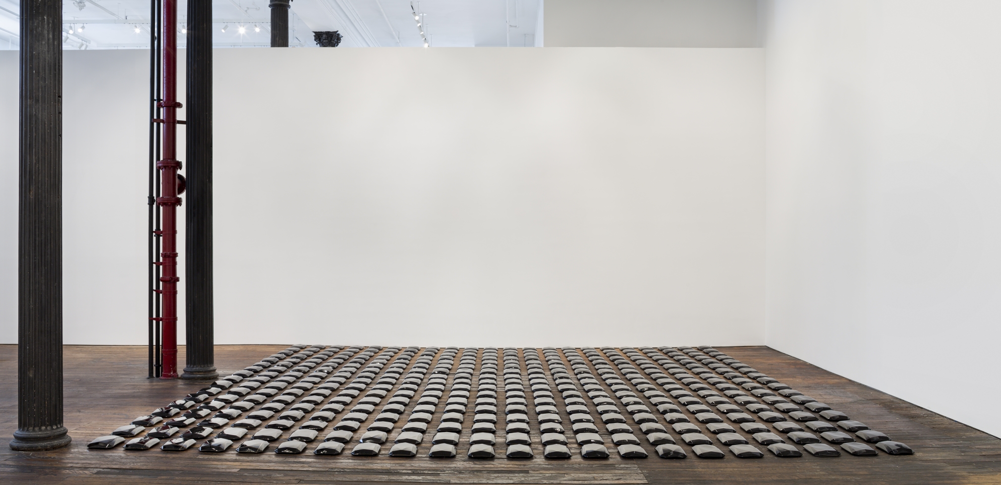 Lucy Skaer My Terracotta Army, my Red Studio, my Amber Room II