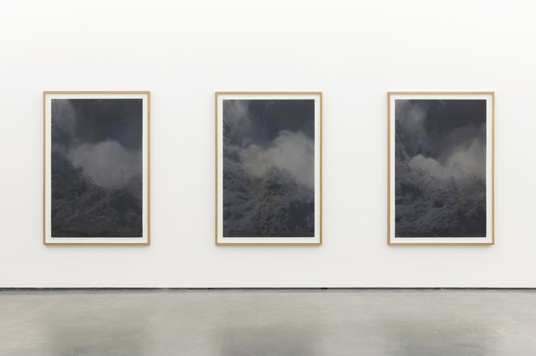 Negative Capability , The Contemporary Art Gallery, Vancouver