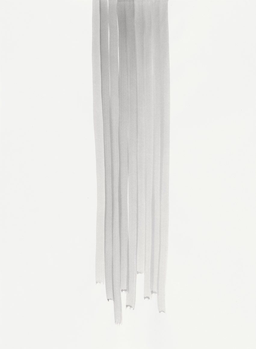 Silvia Bächli Untitled