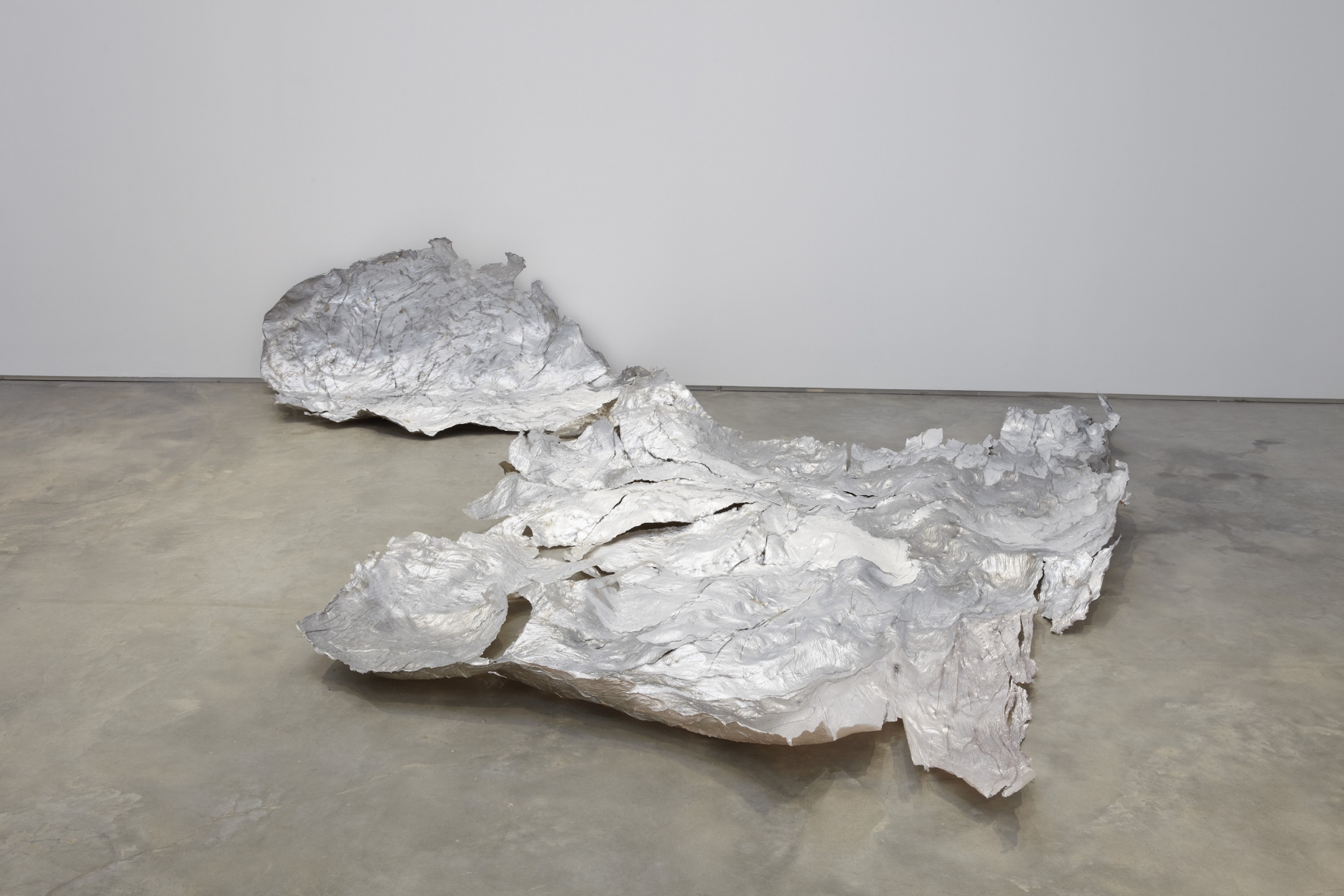 Molting, 2010, Gelatin and pigment