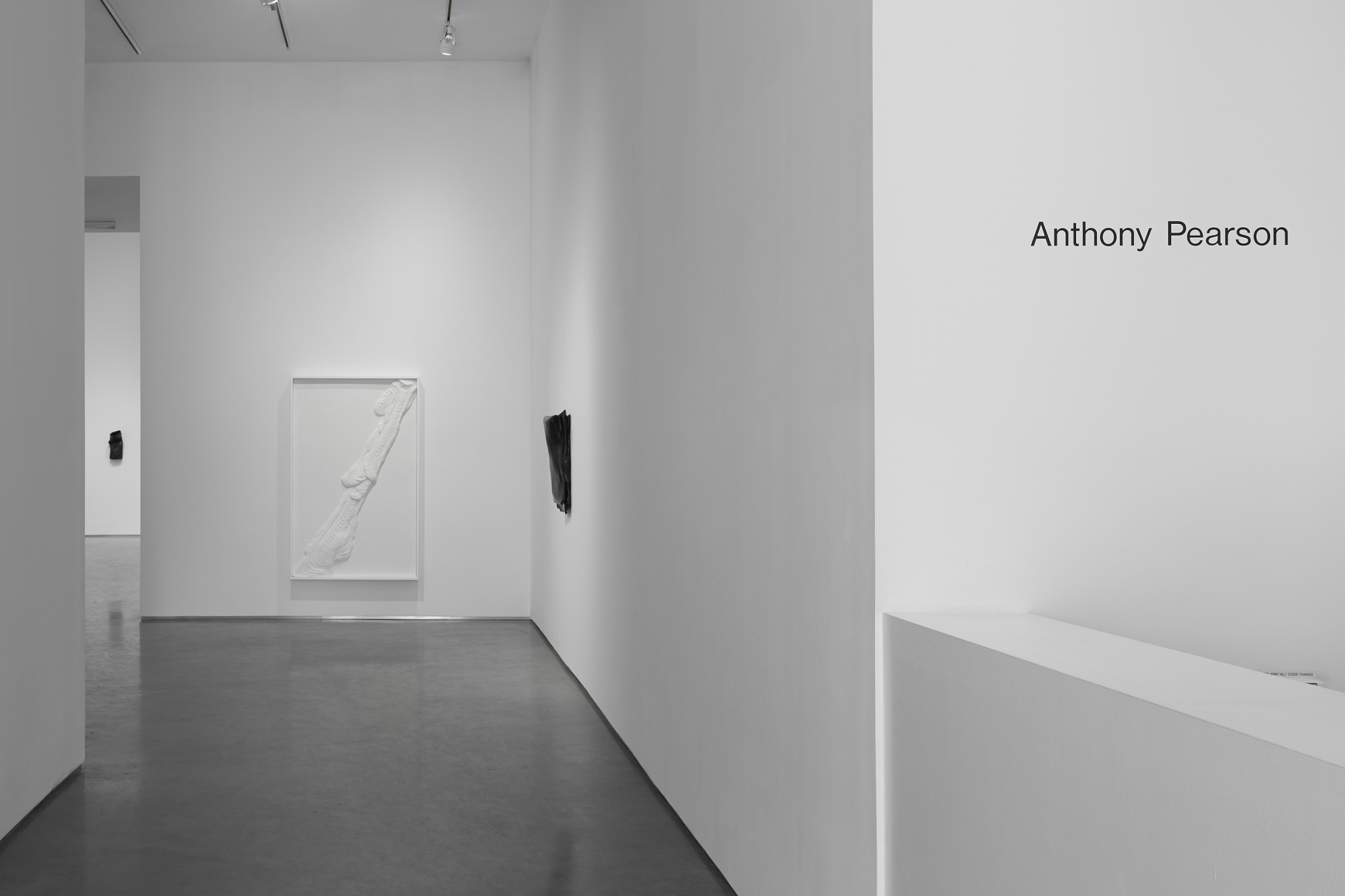 Anthony Pearson (Installation View), Marianne Boesky Gallery, 2013
