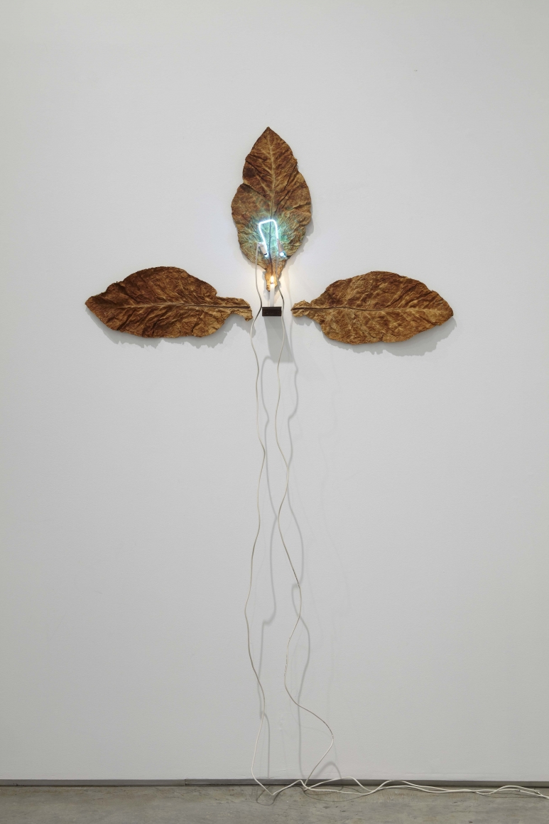 Pier Paolo Calzolari, Untitled (Occhio di Dio), 1971