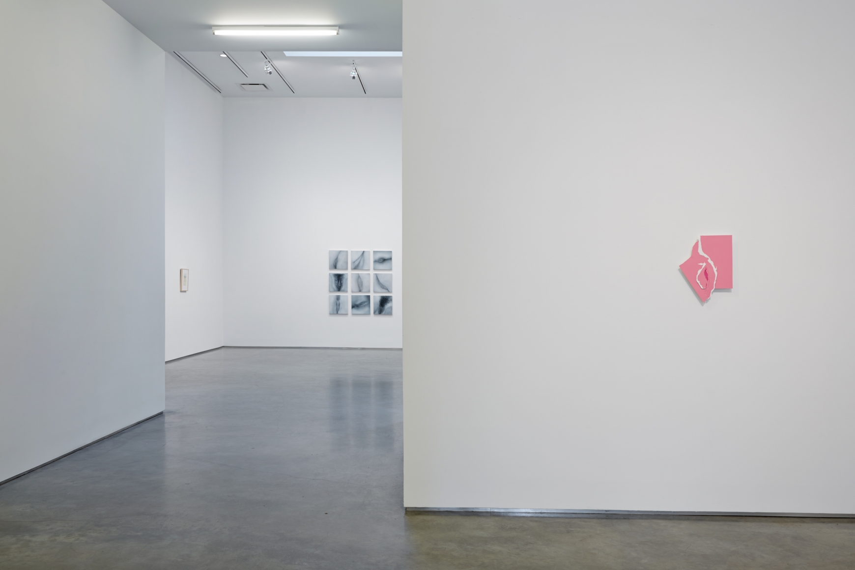 Sunsets and Pussy (Installation View), Marianne Boesky Gallery, 2013