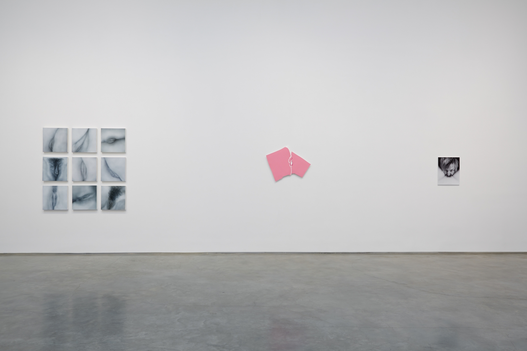 Sunsets and Pussy (Installation View), Marianne Boesky Gallery, 2013