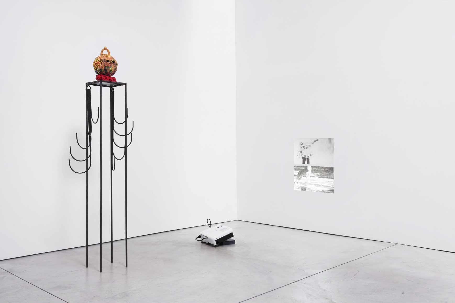 Tricknology (Installation View), Marianne Boesky Gallery, Aspen, 2019