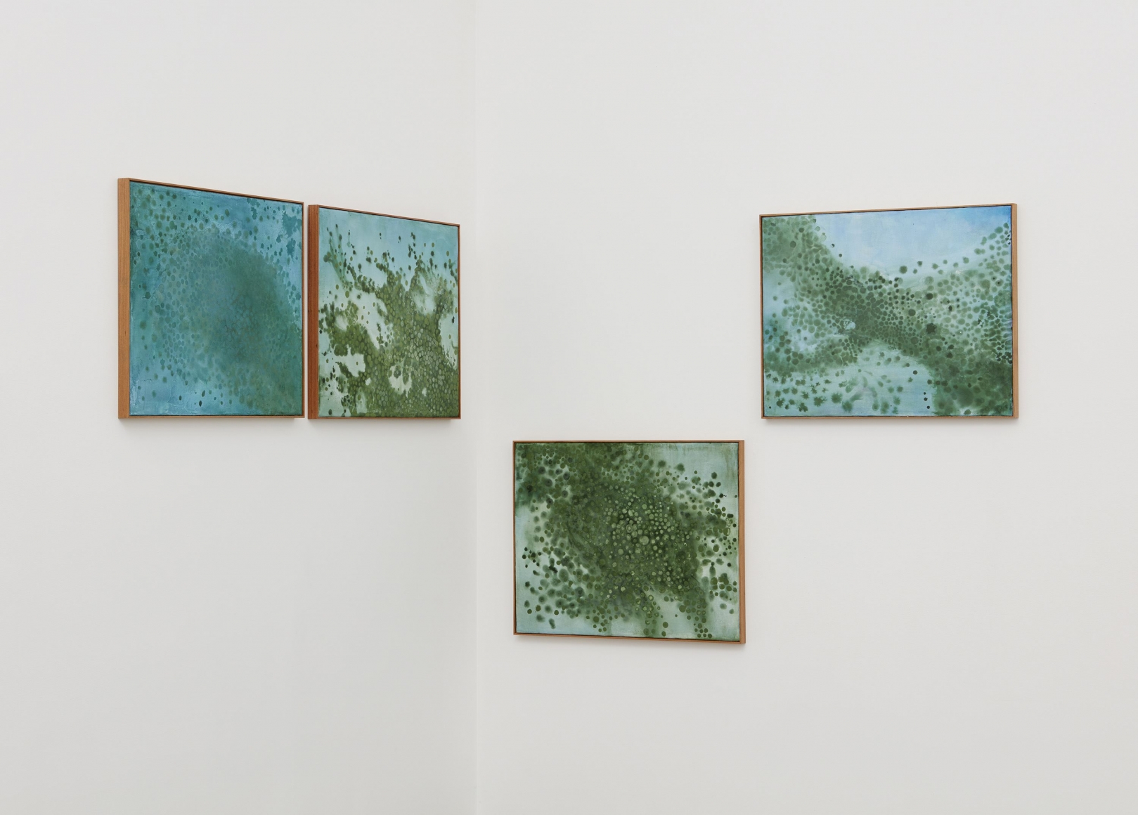 seascape with cianobacteria, 2017