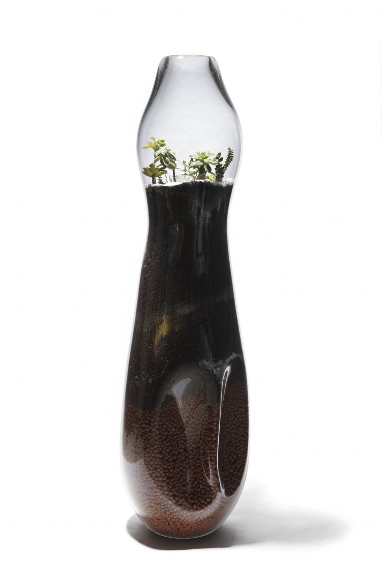 vase with plants by paula hayes