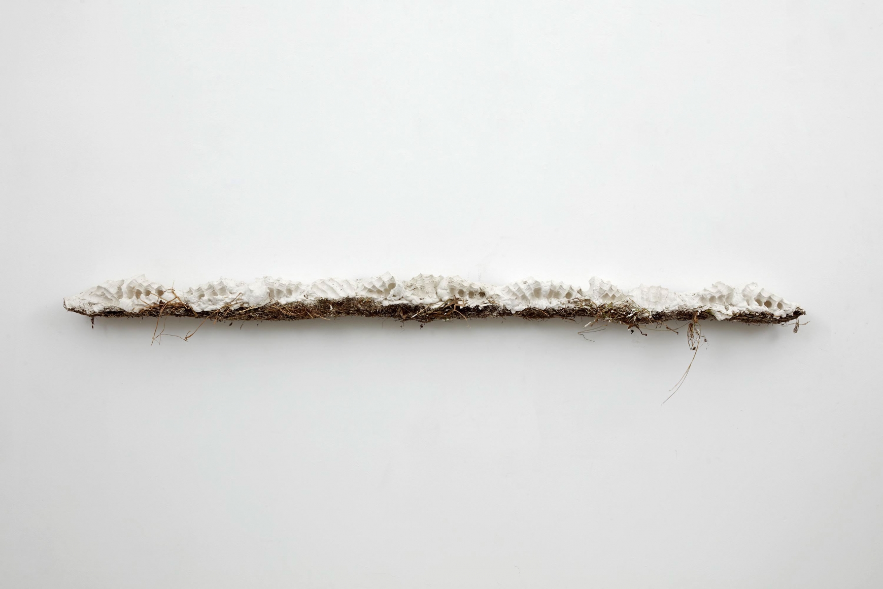 Björn Braun Horizont (with fieldmouses) 2, 2015