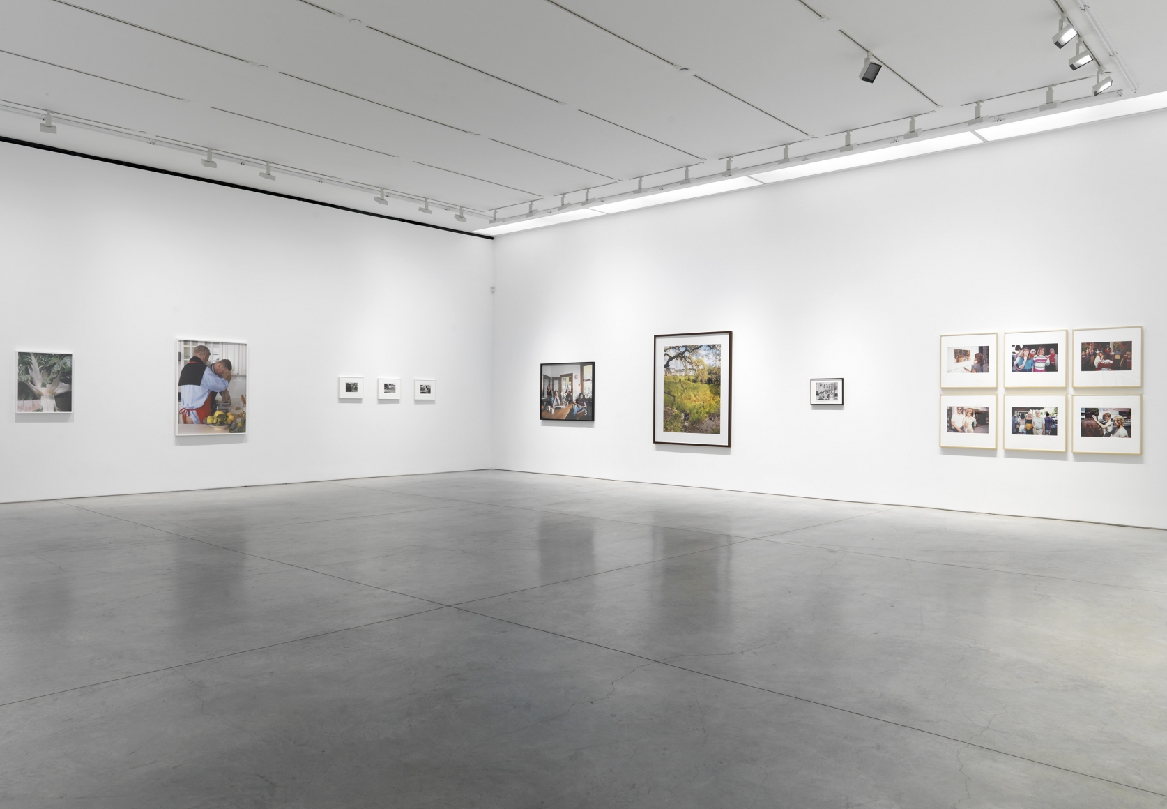 Golden State (Installation View)