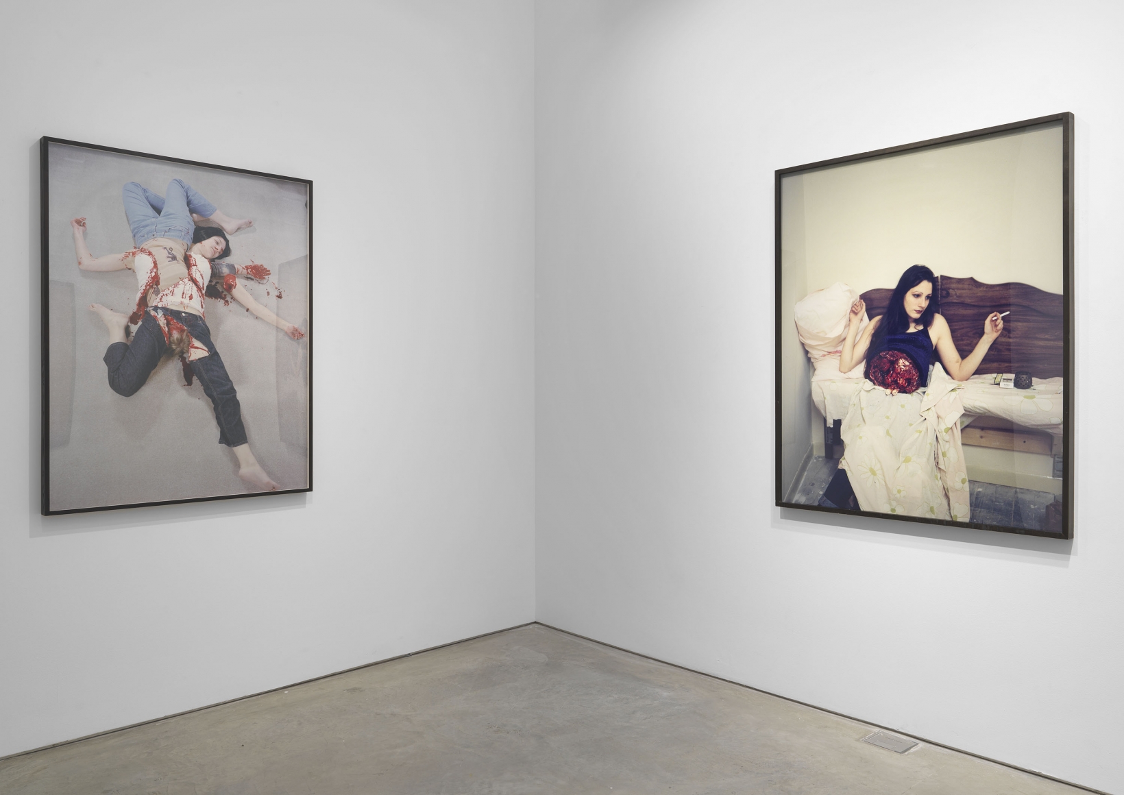 The White Wolf (Installation View)