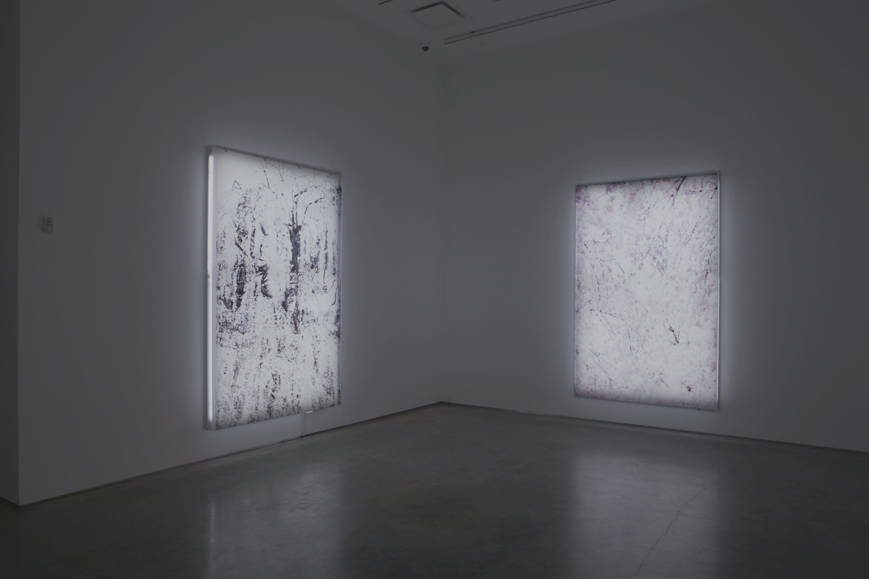 Installation View, Marianne Boesky Gallery, 2007