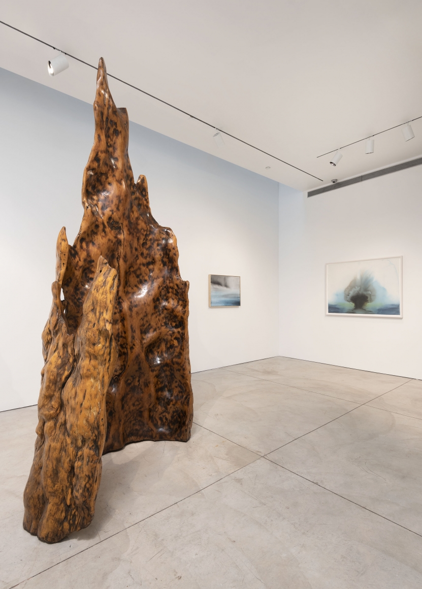 Tropical Molecule (Installation View), Boesky West, 2019