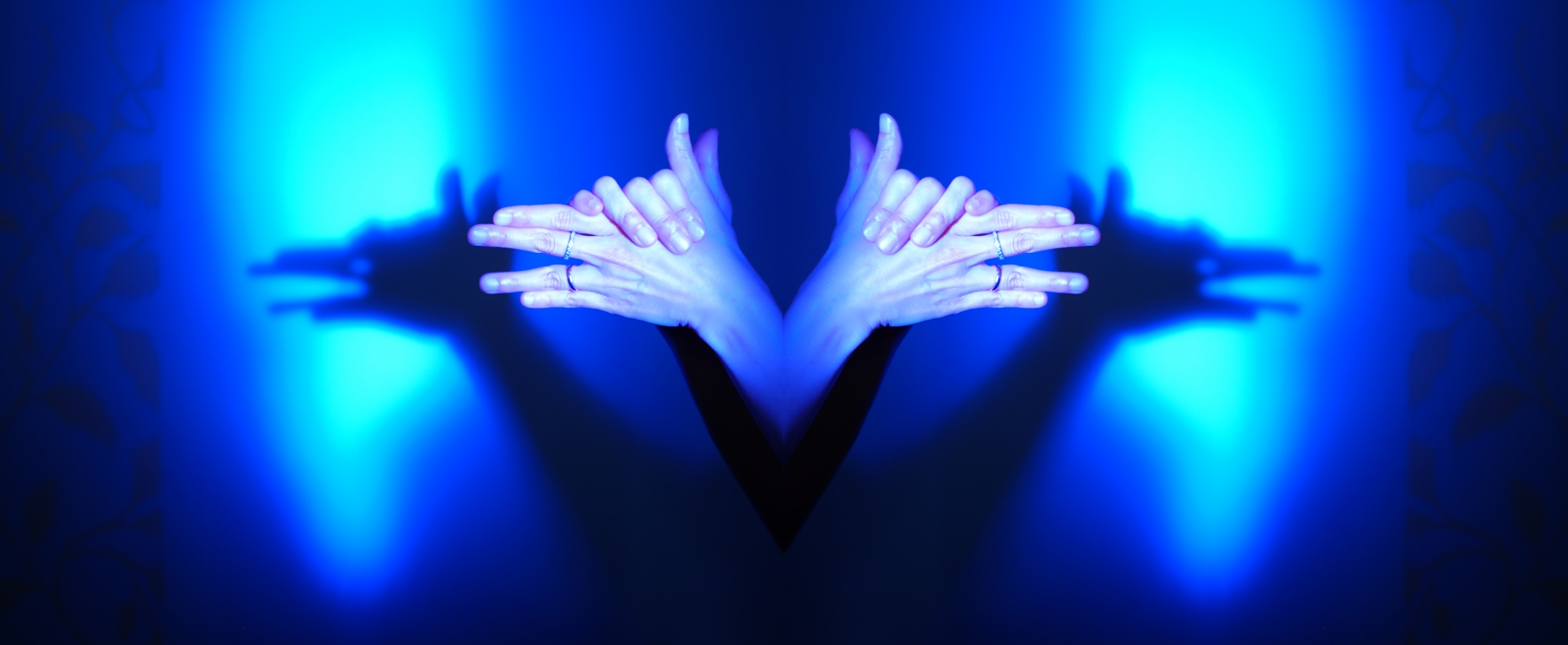a still of hands making shadows from the film the white wolf by video artist sue de beer