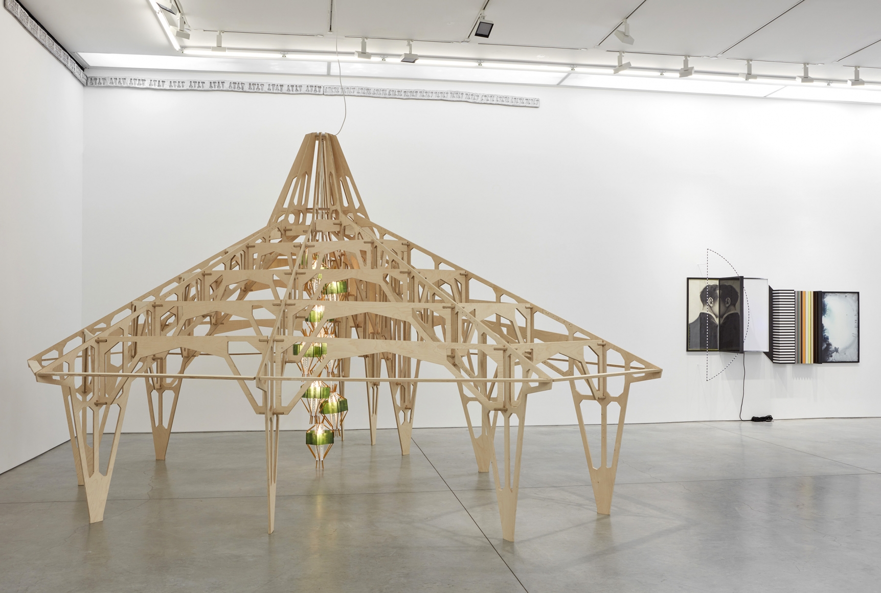 Cells (Installation View)