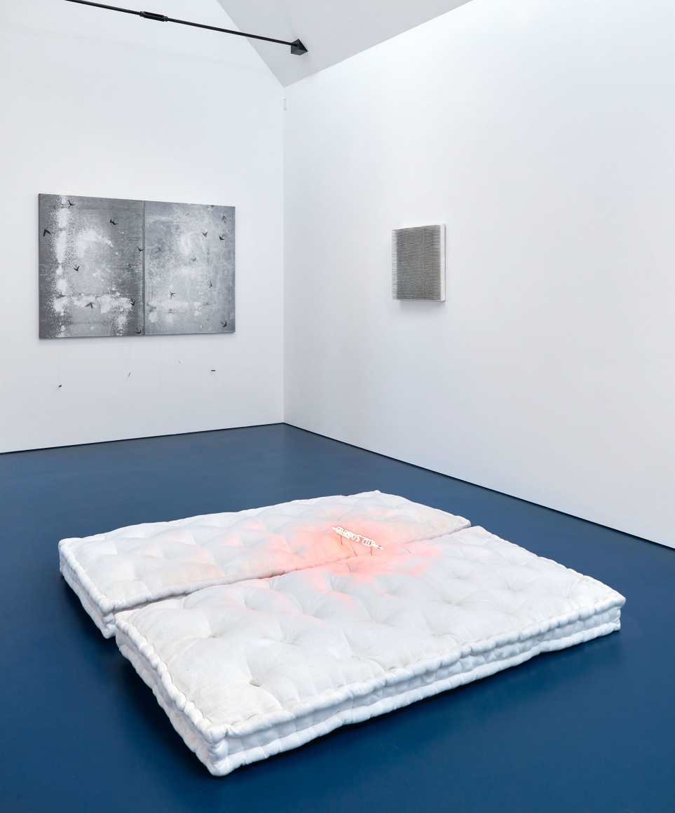 TONIC OF WILDNESS (Installation View), Boesky West, 2017 – 2018