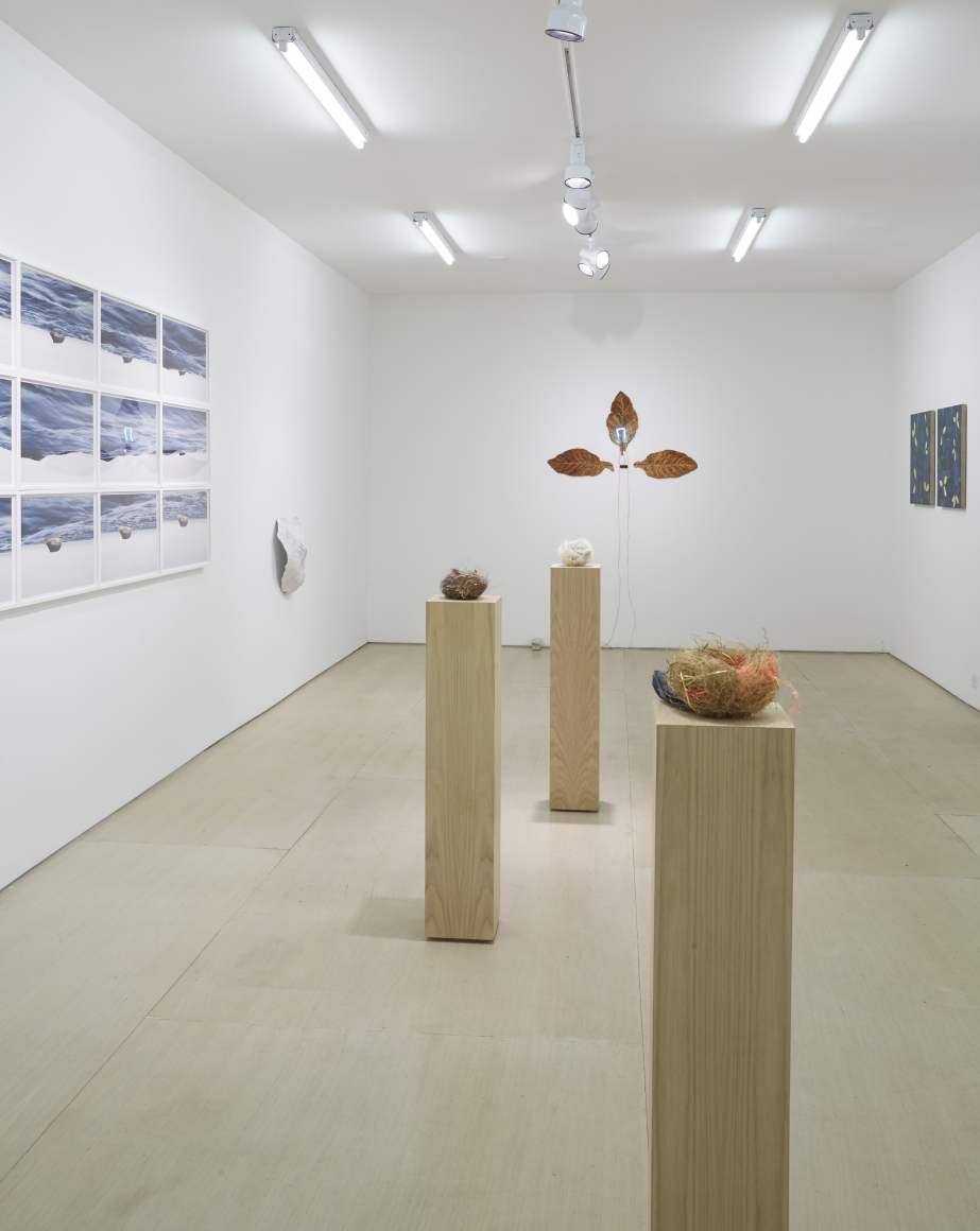Ordering Nature (Installation View), 20 Clinton Street, 2015