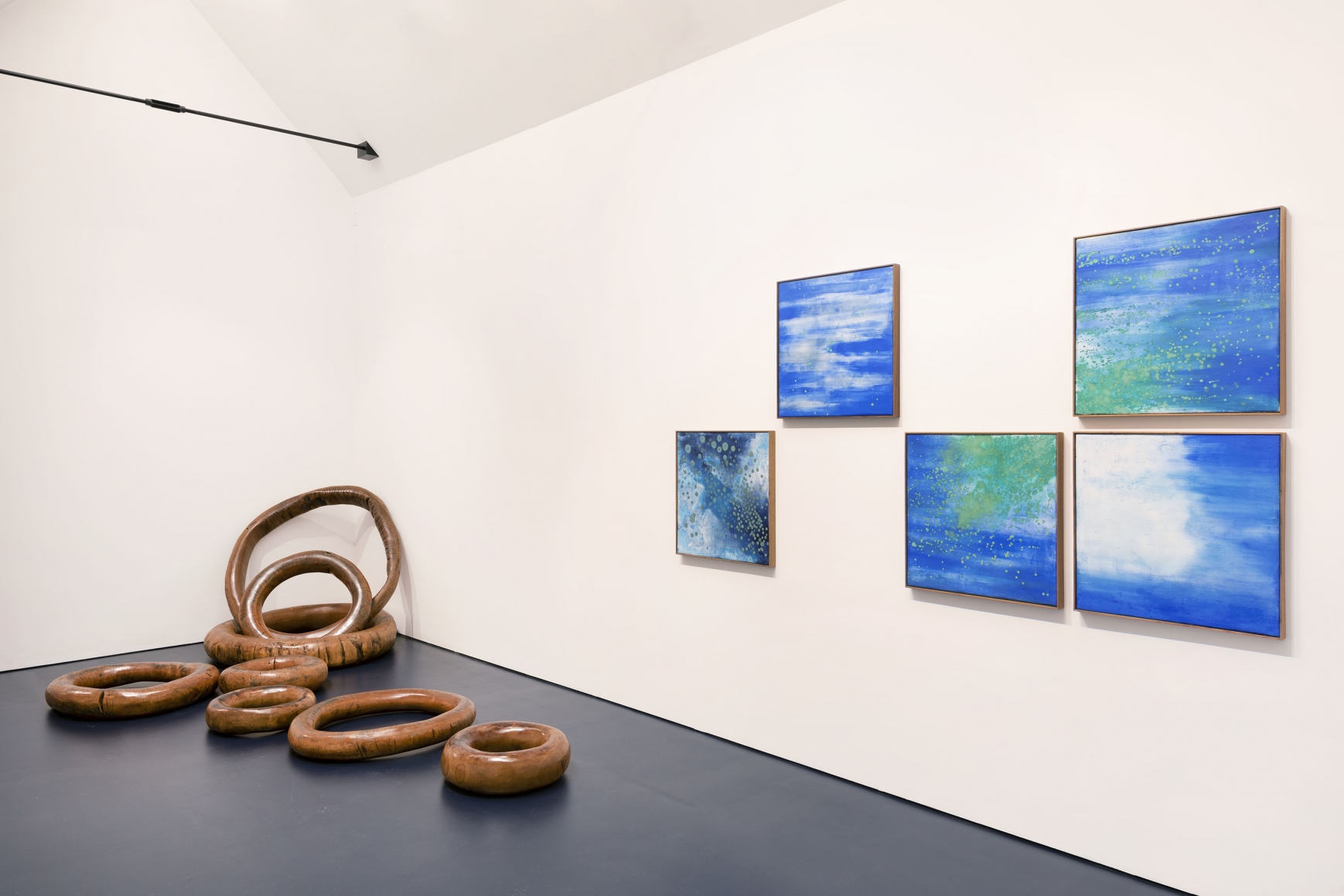 Tropical Molecule (Installation View), Boesky West, 2019