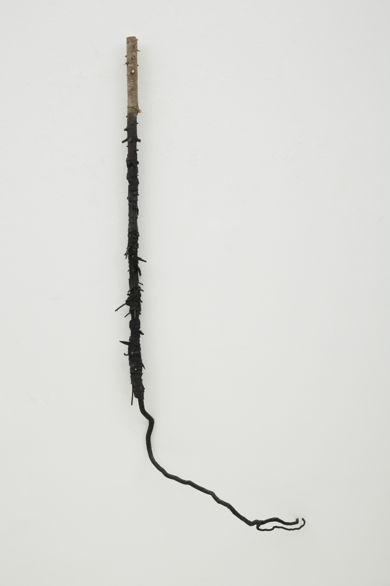 Jay Heikes, Nostalgia, 2013