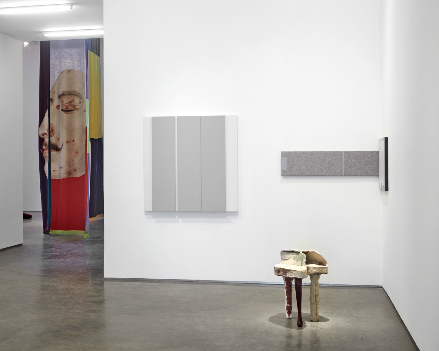 Cells (Installation View) Boesky Gallery, 2017