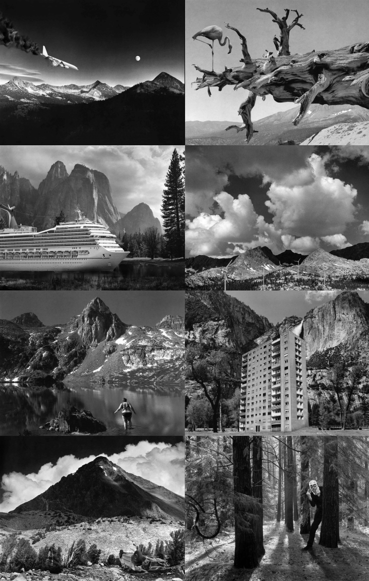 Cancel Ansel, 2014, 8 C-prints