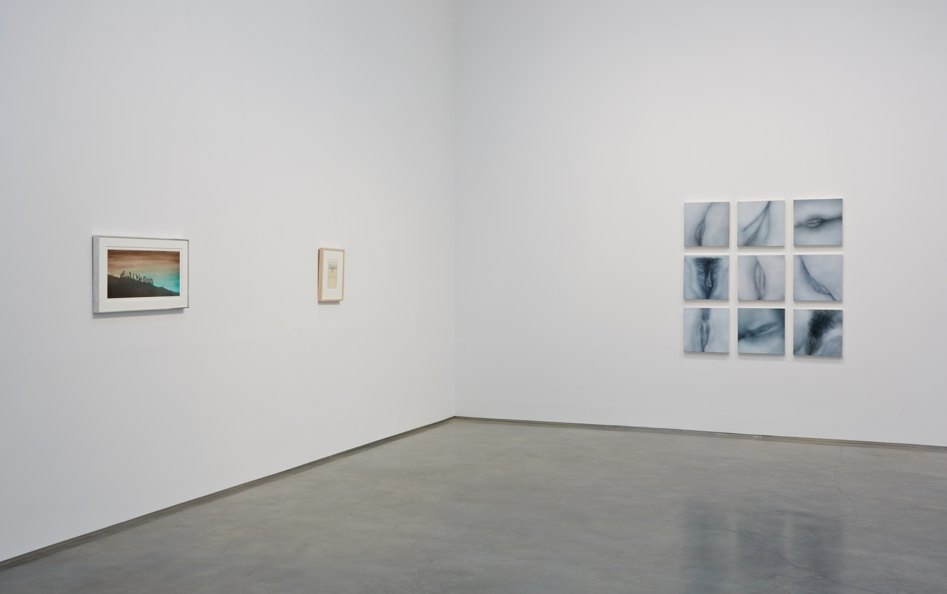 Sunsets and Pussy (Installation View), Marianne Boesky Gallery, 2013