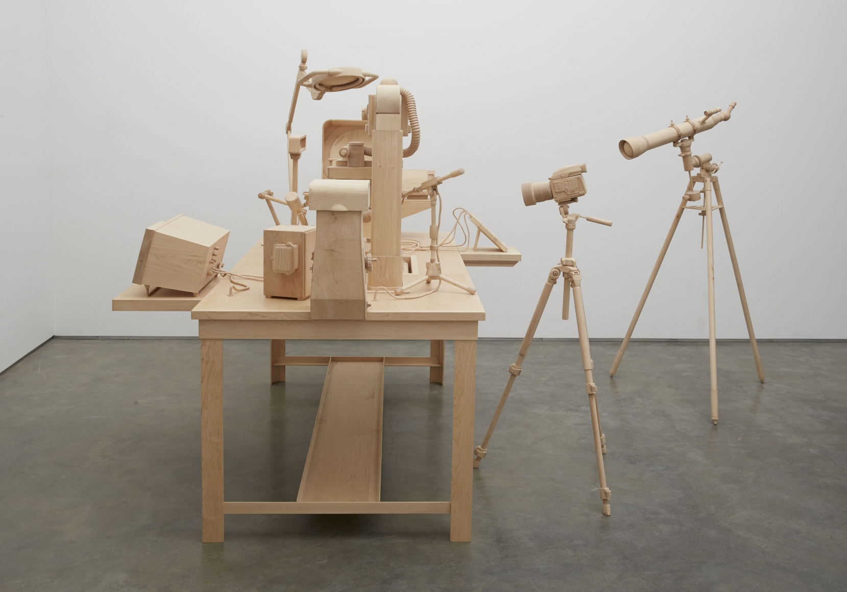 Scrutiny, 2014 , Maple