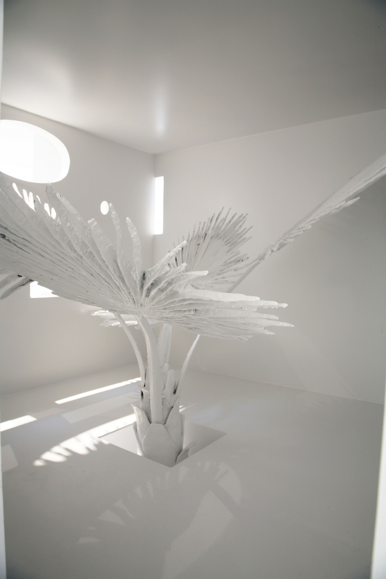 white palm leaf by liz craft