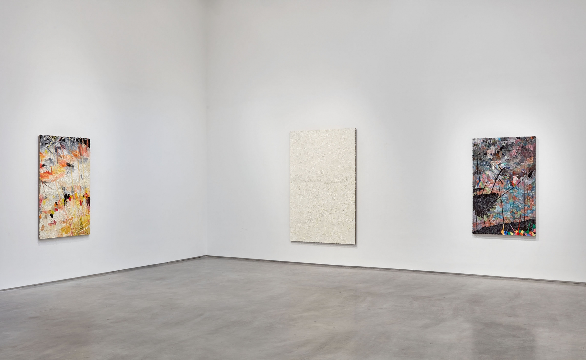 whatever, a vibrant holiday (Installation View), Boesky Gallery, 2016