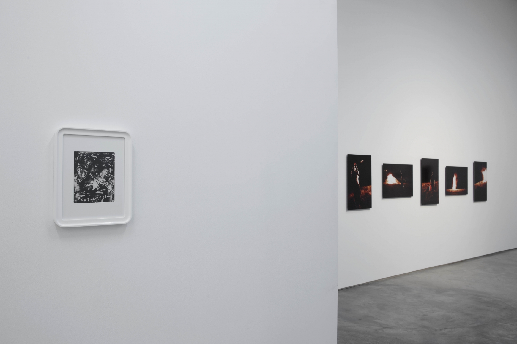 I Bleed Black (Installation View), Marianne Boesky Gallery, 2011