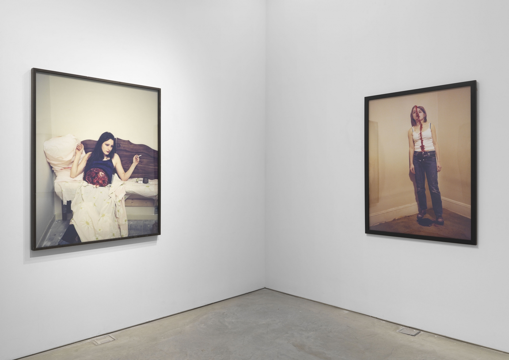 The White Wolf (Installation View)