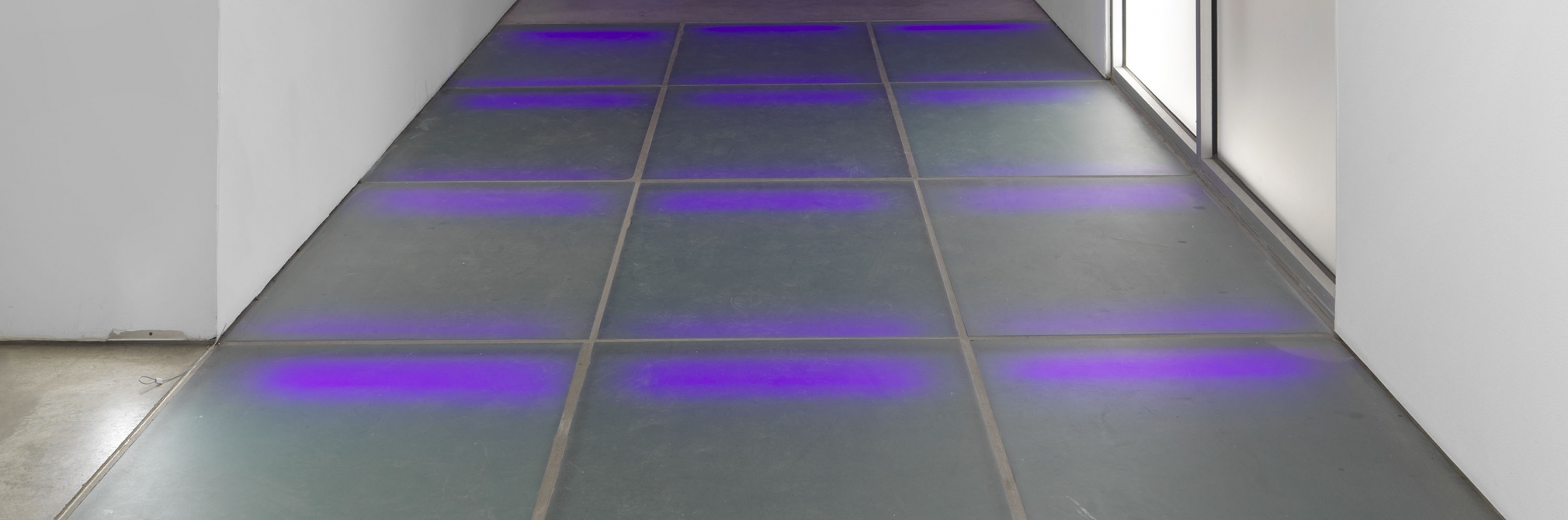 Souls/Soles, 2019 Blacklights