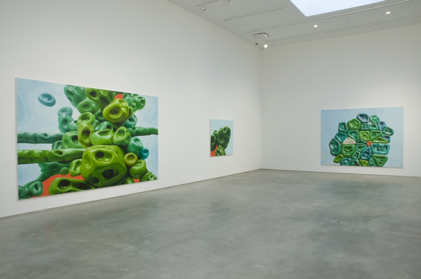 Installation View, Marianne Boesky Gallery, 2008
