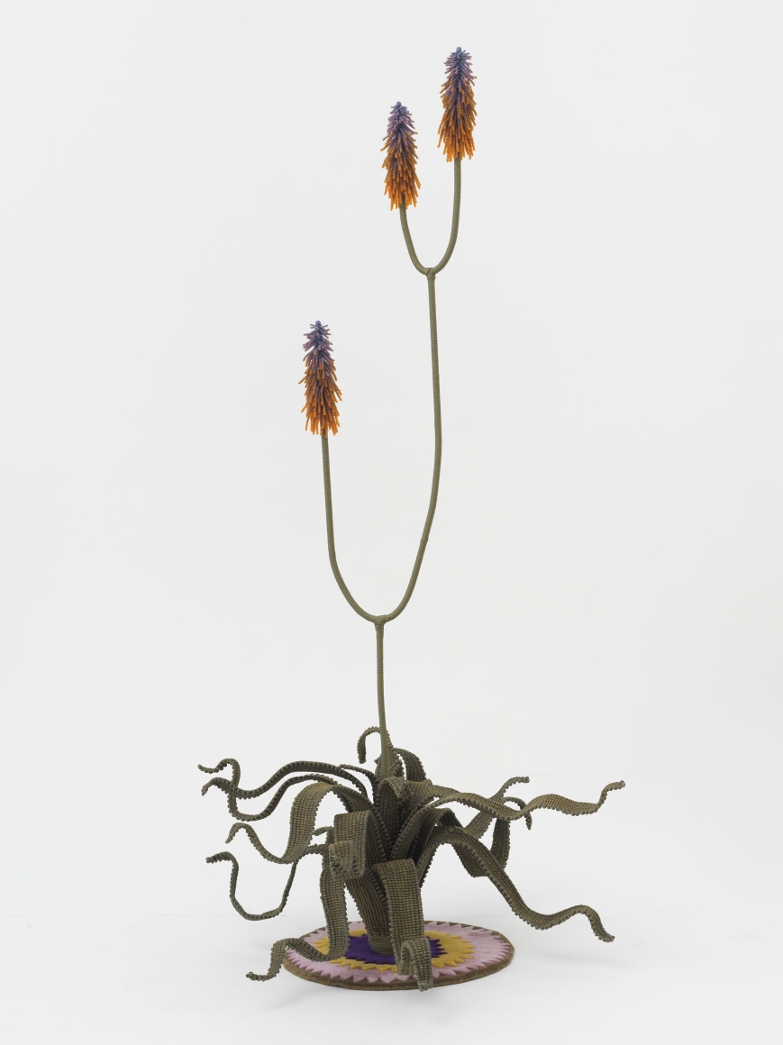 The Haas Brothers, Aloe From the Other Side, 2019