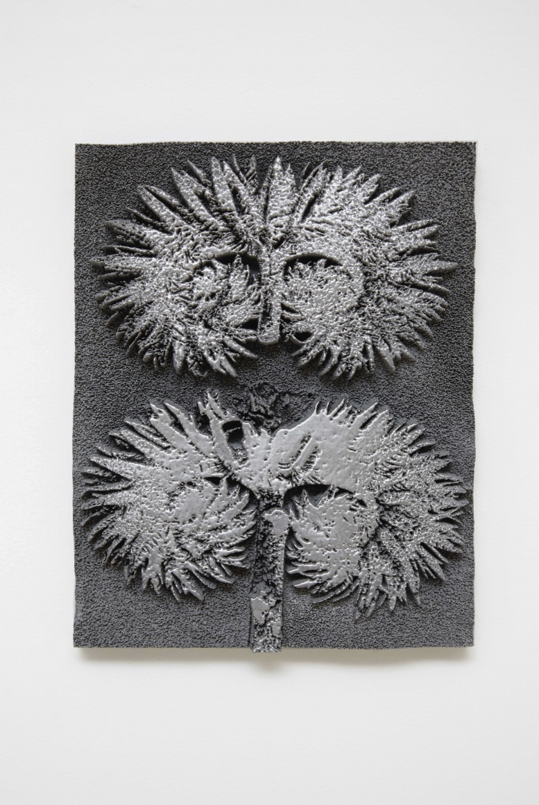 Spiros Hadjidjanos, Phacelia Tanacetifolia, 2015