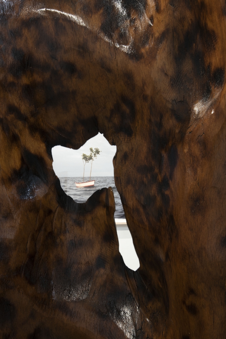Tropical Molecule (Installation View), Boesky West, 2019