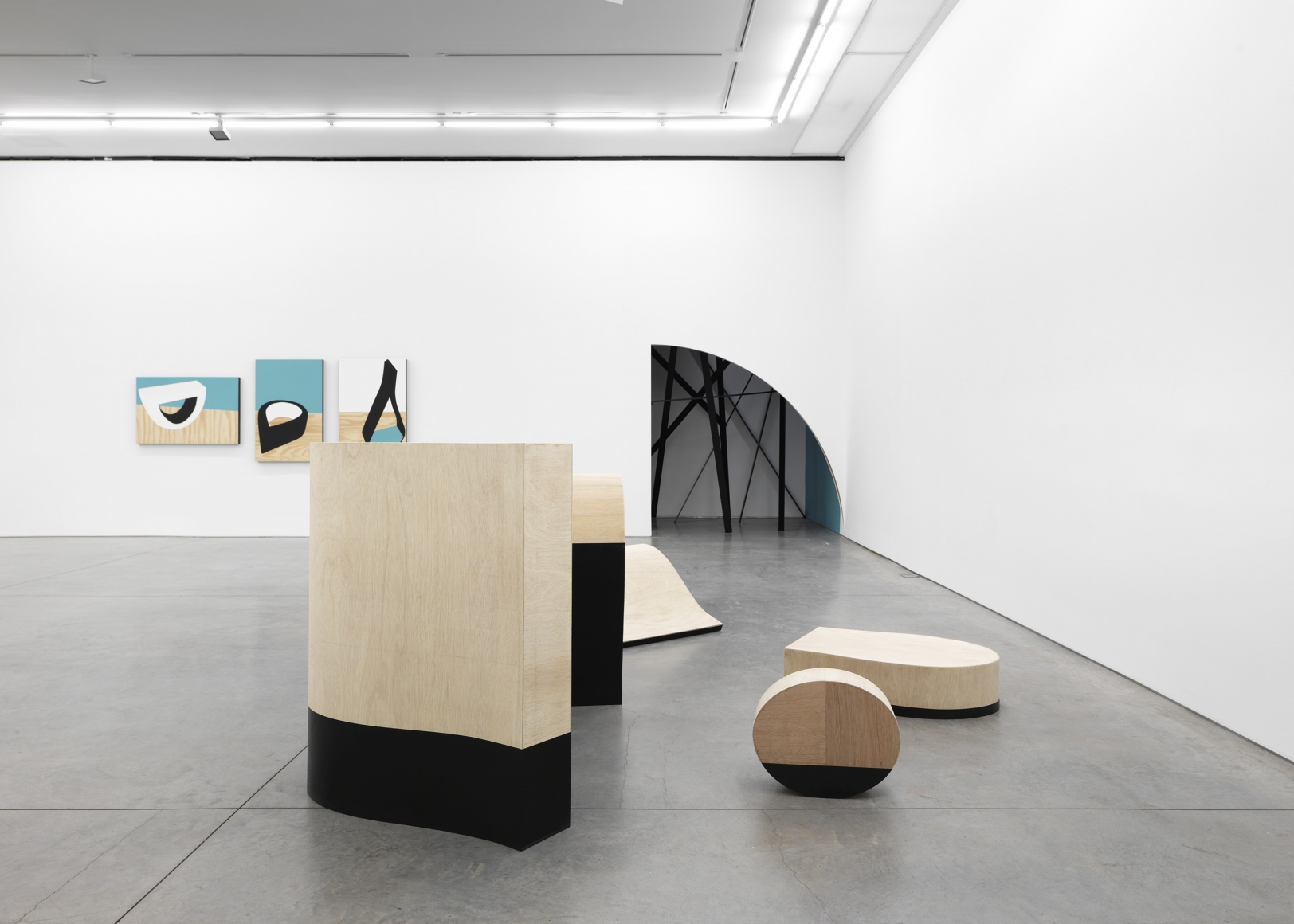 Personal Effects in BLACK (Installation View), Boesky East, 2018