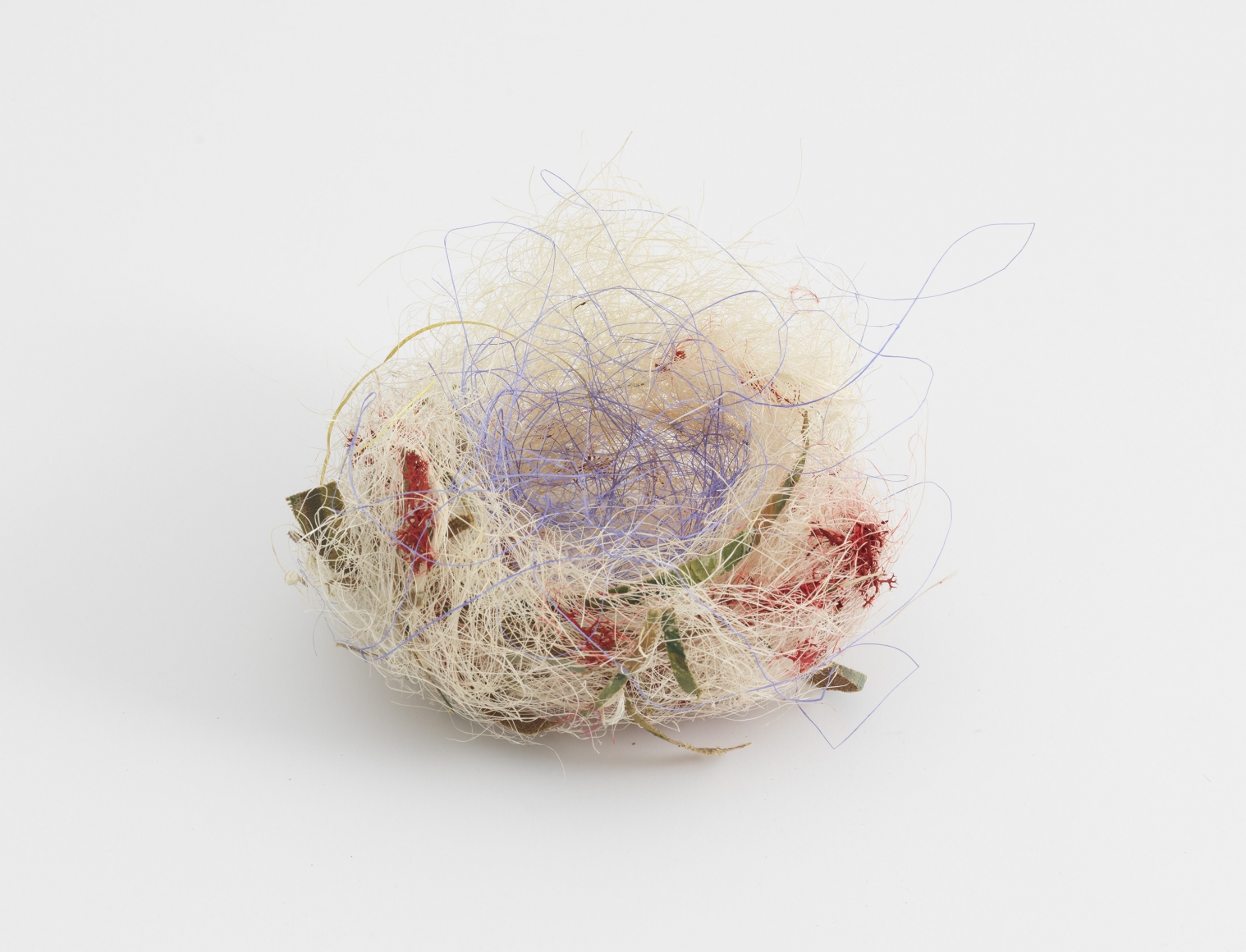 Björn Braun Untitled (nest), 2016