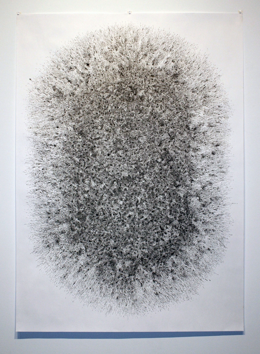 Shane Caffrey, Apple Pie from Scratch, 2010
