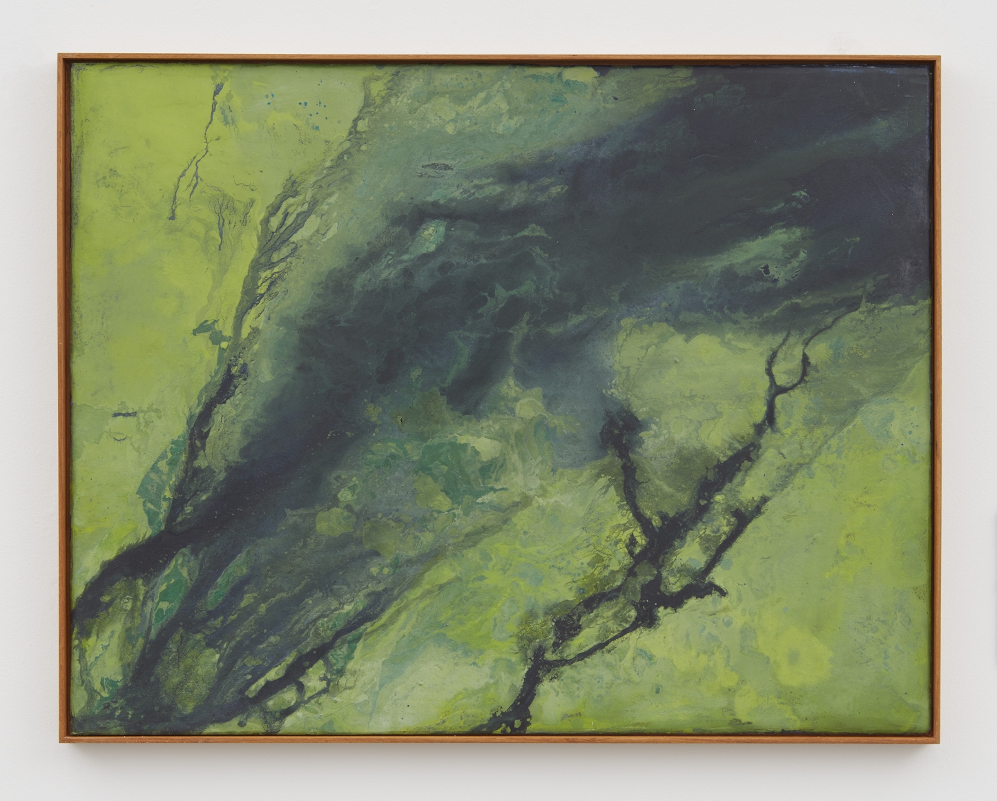 a fresco of a sea from overhead by thiago rocha pitta showing bacteria on the water