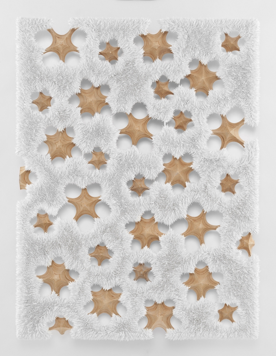 Donald Moffett, Lot 101017 (titanium white), 2017