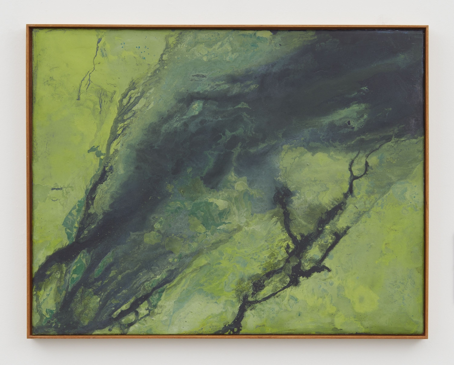 seascape with cianobacteria, 2017