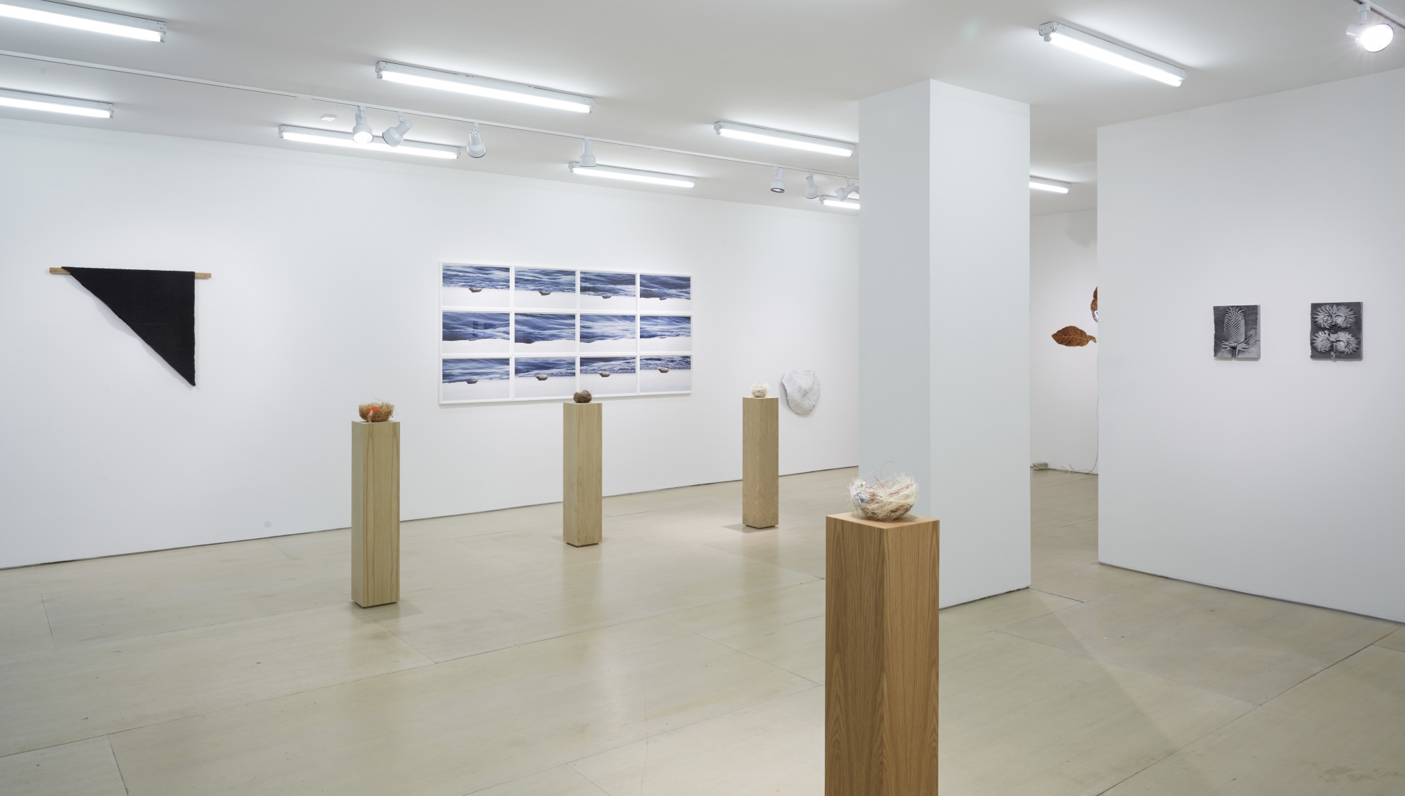 Ordering Nature (Installation View), 20 Clinton Street, 2015