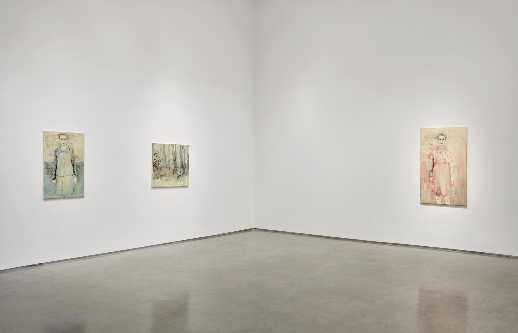 The Smudge Waves Back (Installation View), Boesky Gallery, 2017