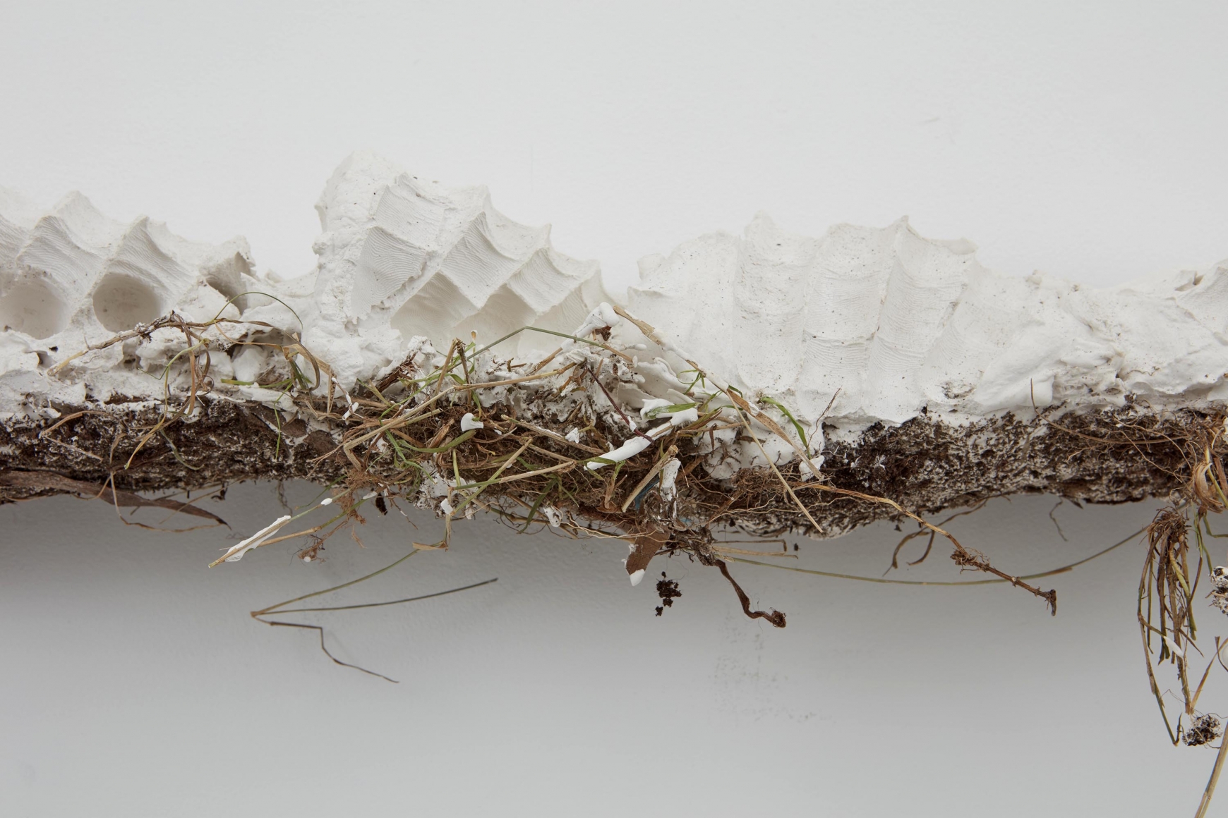detail of a work of art by German contemporary artist Bjorn Braun